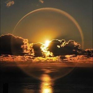 Meet your Posher, Teri